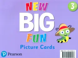 New Big Fun 3. Picture Cards