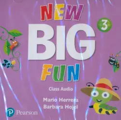 New Big Fun. Level 3. Class Audio