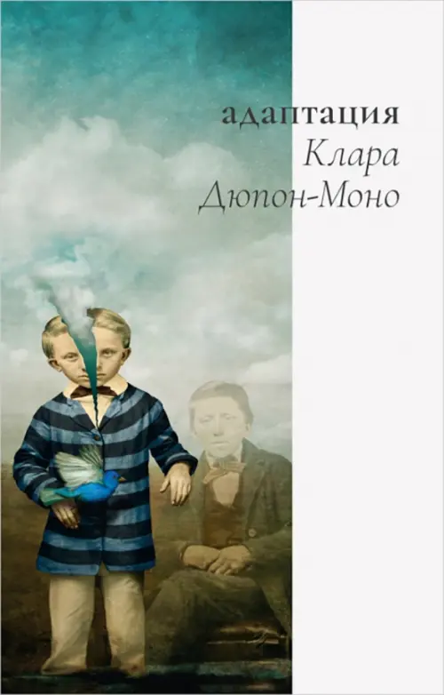 

Адаптация