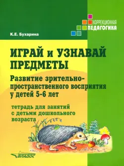 Играй и узнавай предметы. Развитие зрительно-пространственного восприятия у детей 5-6 лет