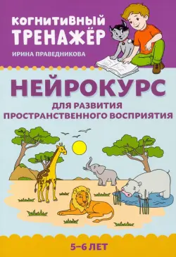 Нейрокурс для развития пространственного восприятия. 5-6 лет