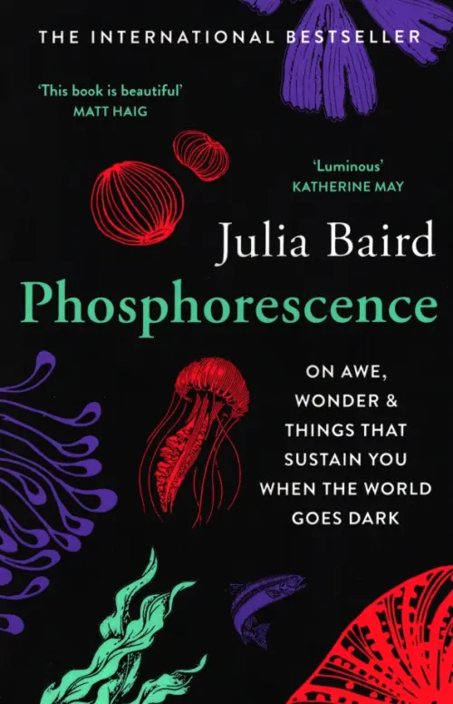 Phosphorescence. On Awe, Wonder & Things That Sustain You When the World Goes Dark