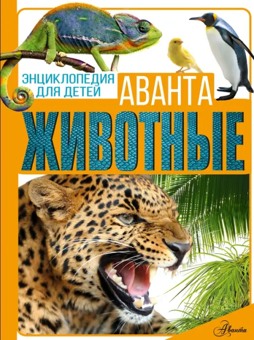 

Животные, Оранжевый