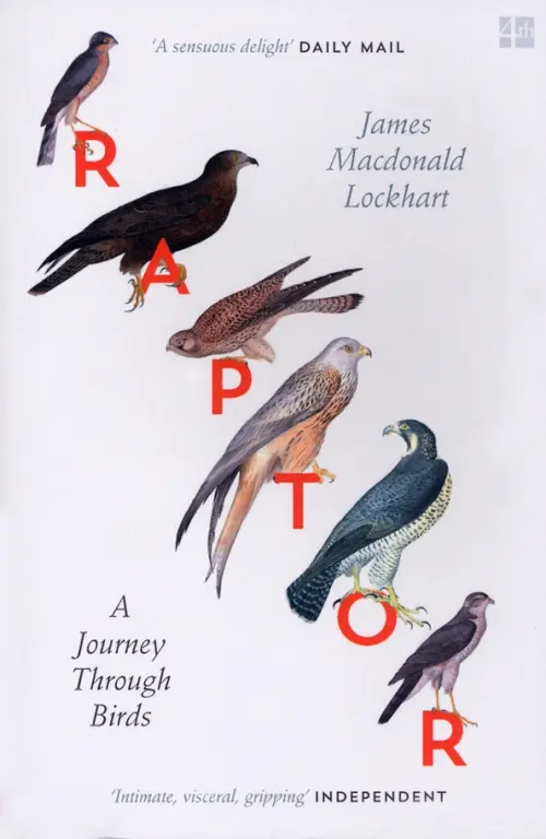 

Raptor. A Journey Through Birds, Серый