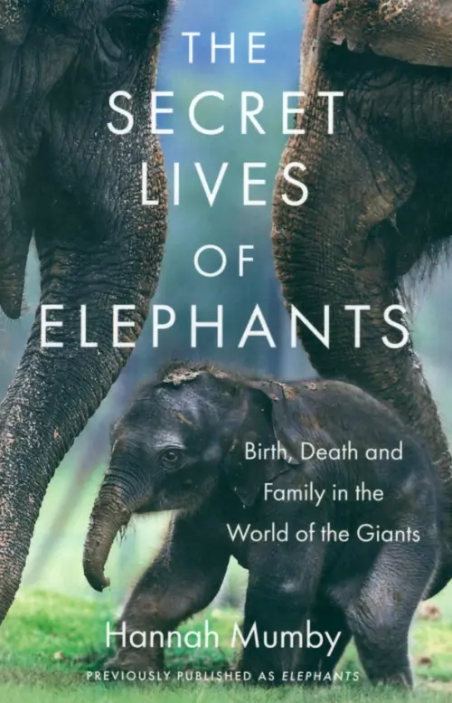 The Secret Lives of Elephants. Birth, Death and Family in the World of the Giants