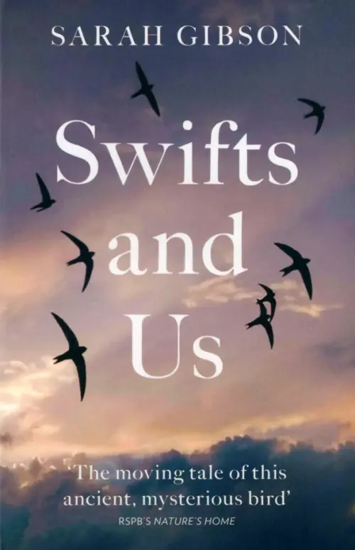 

Swifts and Us. The Life of the Bird that Sleeps in the Sky, Серый
