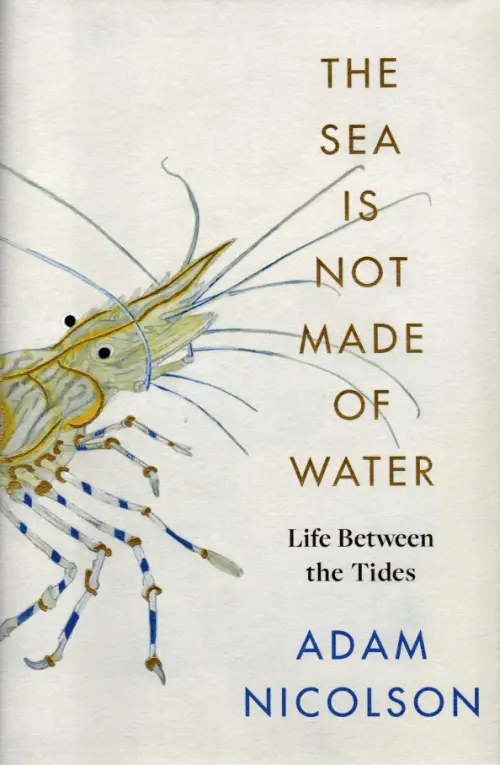 

The Sea is Not Made of Water. Life Between the Tides, Серый