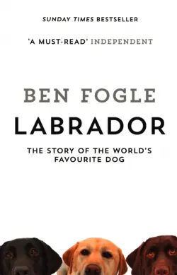 Labrador. The Story of the World's Favourite Dog