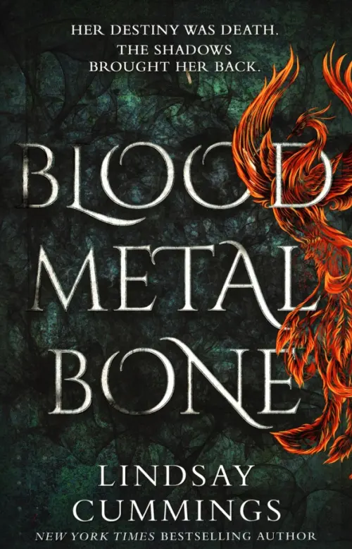 

Blood Metal Bone, Серый