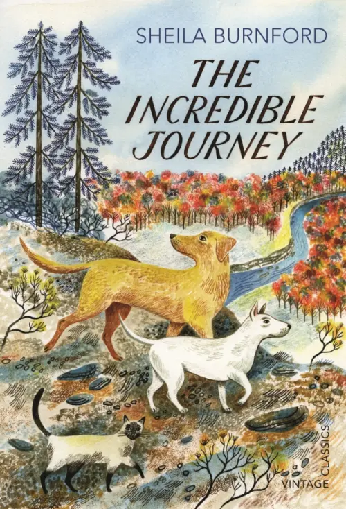 

The Incredible Journey