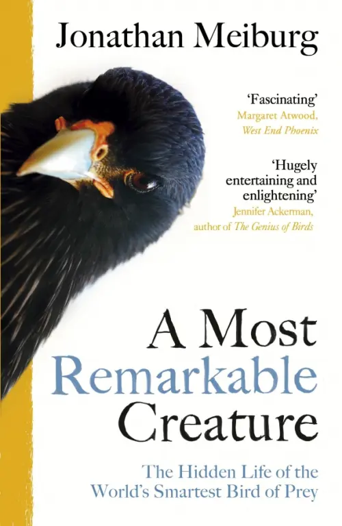 

A Most Remarkable Creature. The Hidden Life of the World’s Smartest Bird of Prey, Белый