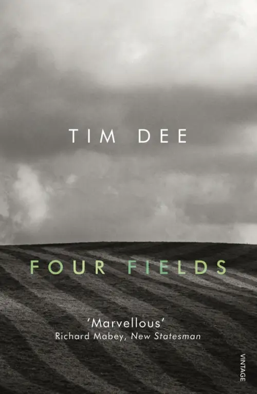 

Four Fields, Серый