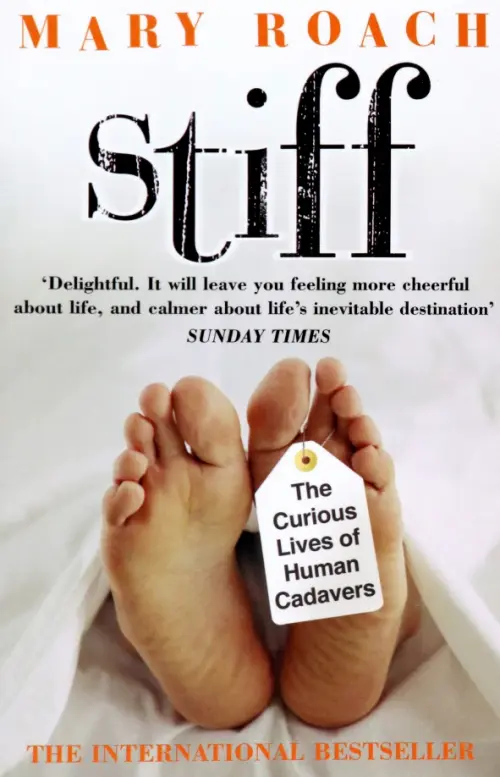 

Stiff, Серый