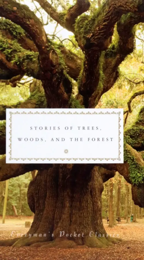 

Stories of Trees, Woods, and Forests, Серый