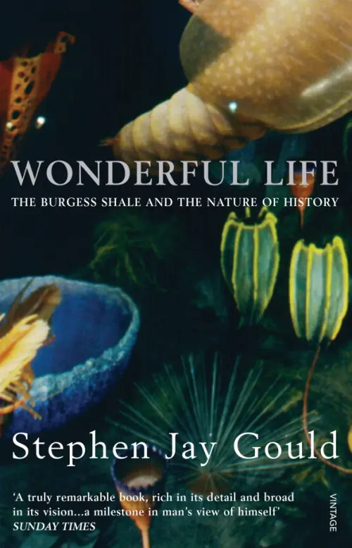 

Wonderful Life