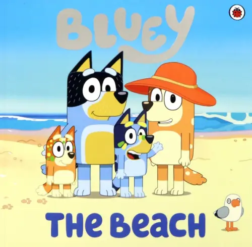 

The Beach
