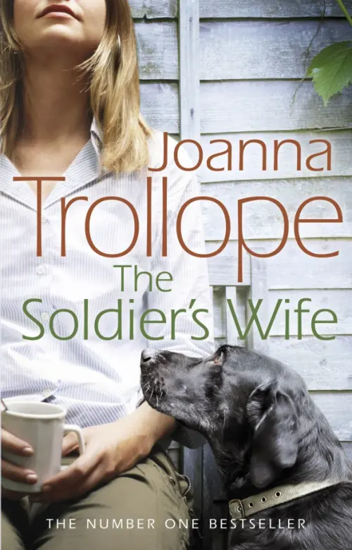 

The Soldier's Wife, Серый