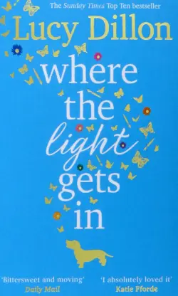 Where the Light Gets In