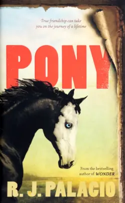 Pony