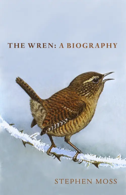 

The Wren. A Biography, Голубой