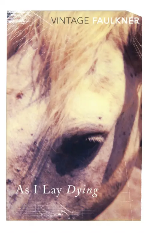 

As I Lay Dying, Фиолетовый