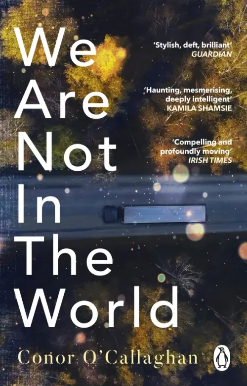 

We Are Not in the World
