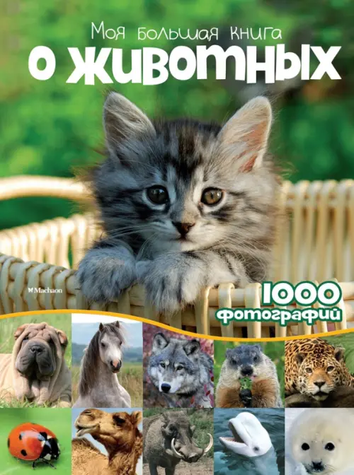 

Моя большая книга о животных. 1000 фотографий, Зелёный