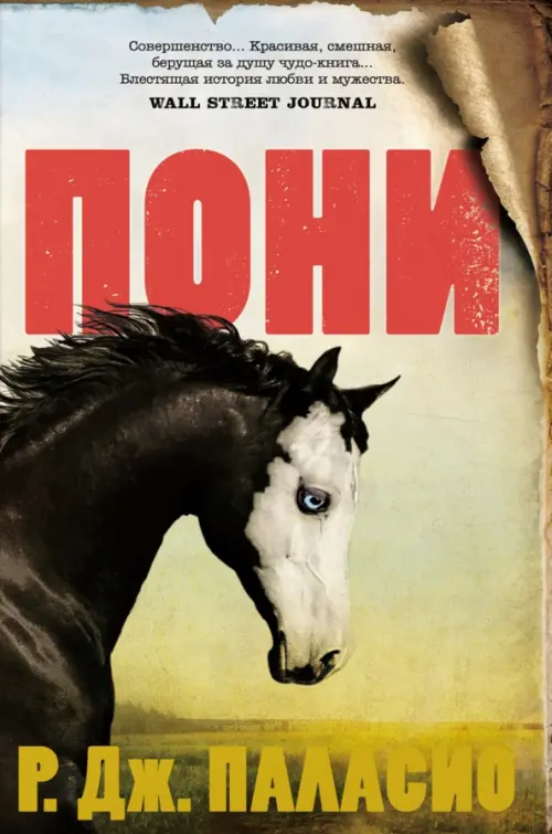 

Пони, Жёлтый