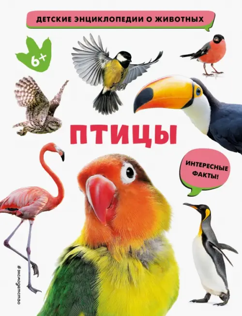

Птицы, Белый