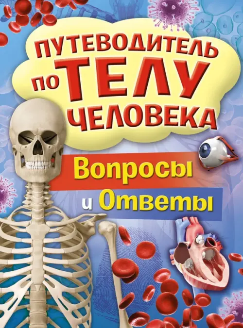 

Путеводитель по телу человека. Вопросы и ответы, Фиолетовый