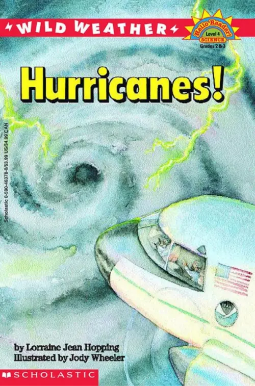 

Wild Weather. Hurricanes! Level 4, Серый