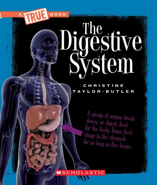 

The Digestive System, Чёрный