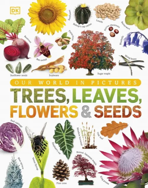

Trees, Leaves, Flowers & Seeds, Белый