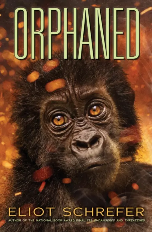

Orphaned