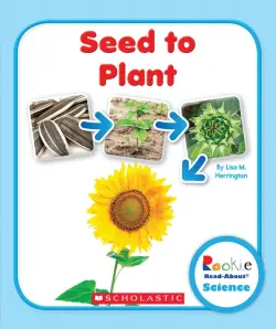 Seed to Plant