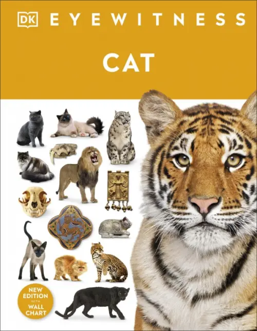 

Cat, Оранжевый