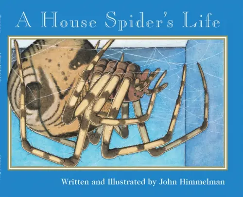 

A House Spider's Life, Синий