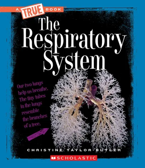 

The Respiratory System, Чёрный