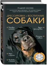 Дрессировка и воспитание собаки (+DVD)