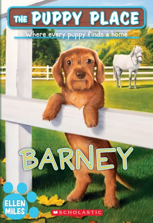 Barney