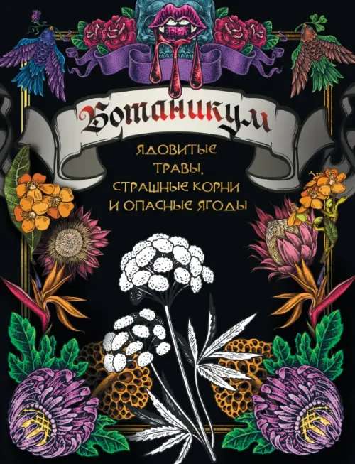 

Ботаникум. Ядовитые травы, страшные корни и опасные ягоды, Чёрный
