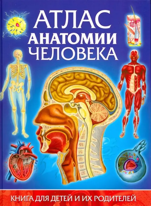 

Атлас анатомии человека. Книга для детей и их родителей, Синий