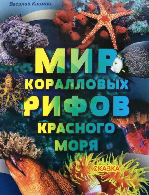 

Мир коралловых рифов Красного моря, Синий