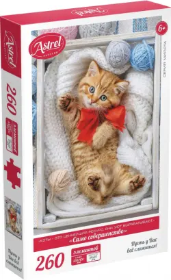 Пазл-260. Само совершенство