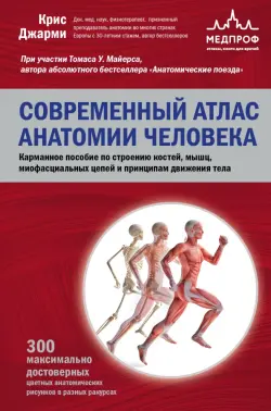 Современный атлас анатомии человека. Карманное пособие по строению костей, мышц