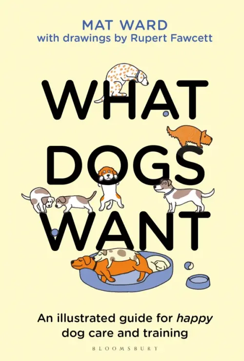 

What Dogs Want. An illustrated guide for happy dog care and training, Жёлтый
