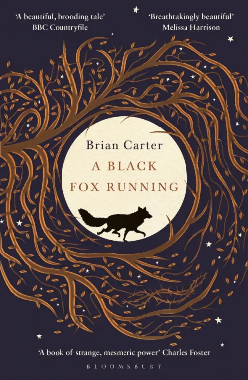 

A Black Fox Running, Синий