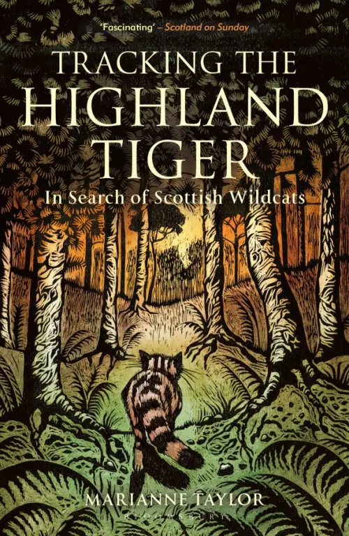 

Tracking The Highland Tiger. In Search of Scottish Wildcats