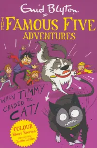 When Timmy Chased the Cat