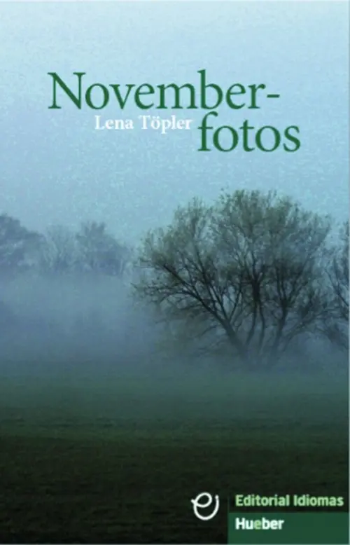 

Novemberfotos. Deutsch als Fremdsprache, Серый